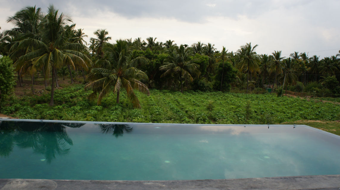 Infinity pool overlooking coconut grove